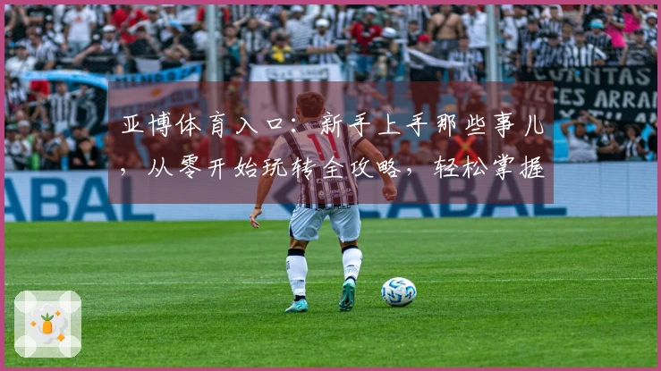 亚博体育入口：新手上手那些事儿，从零开始玩转全攻略，轻松掌握游戏秘诀